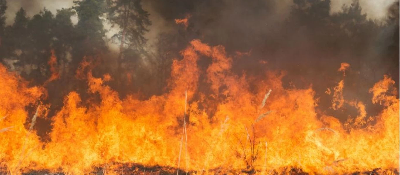 Φωτιές σε Ιωάννινα, Θάσο και Καστοριά - Υπό μερικό έλεγχο στο Κιλκίς